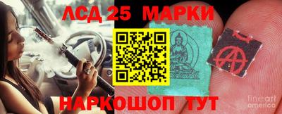 индика Малгобек