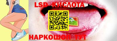 индика Малгобек