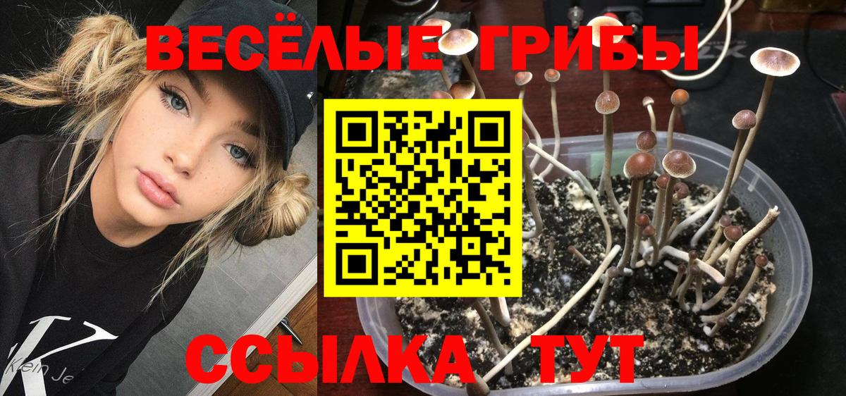Гуково  Псилоцибиновые грибы Psilocybe  Вход с VPN 